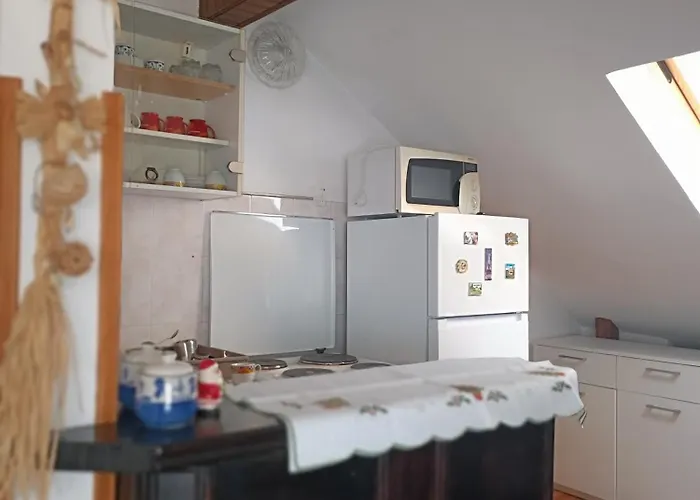 Paunov Breg Apartment