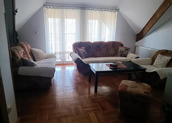Apartment Paunov Breg Vrnjacka Banja